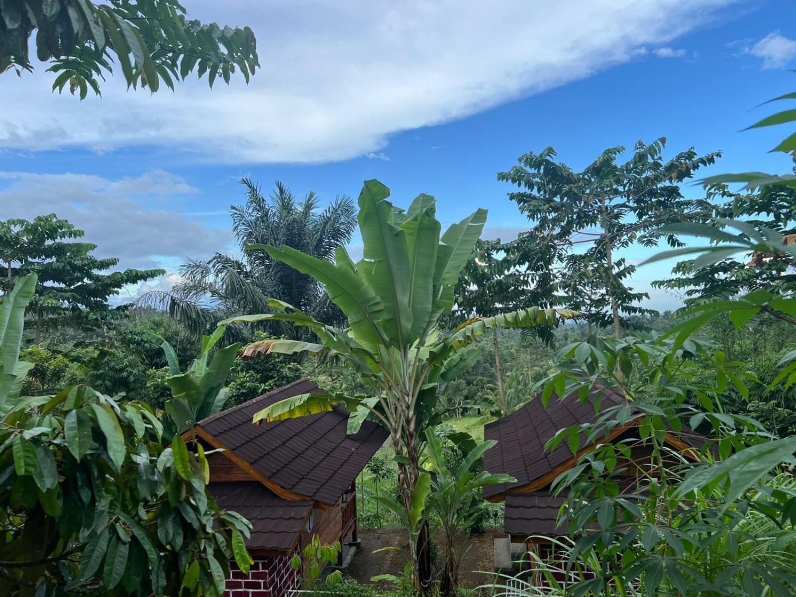 Serenity Lodge Tetebatu Lombok المظهر الخارجي الصورة