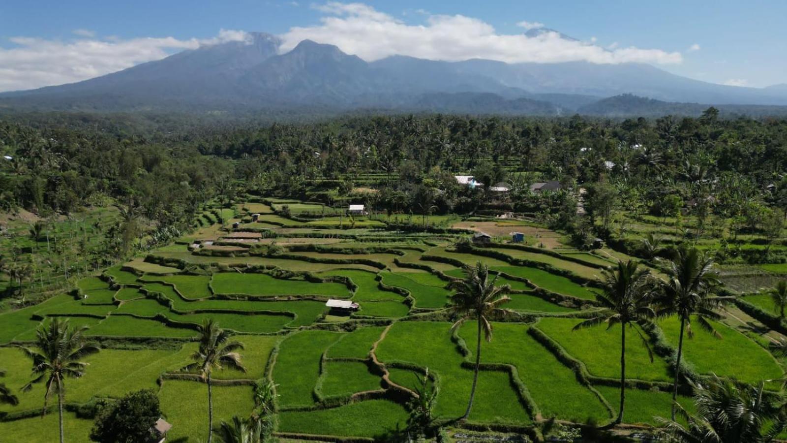 Serenity Lodge Tetebatu Lombok المظهر الخارجي الصورة