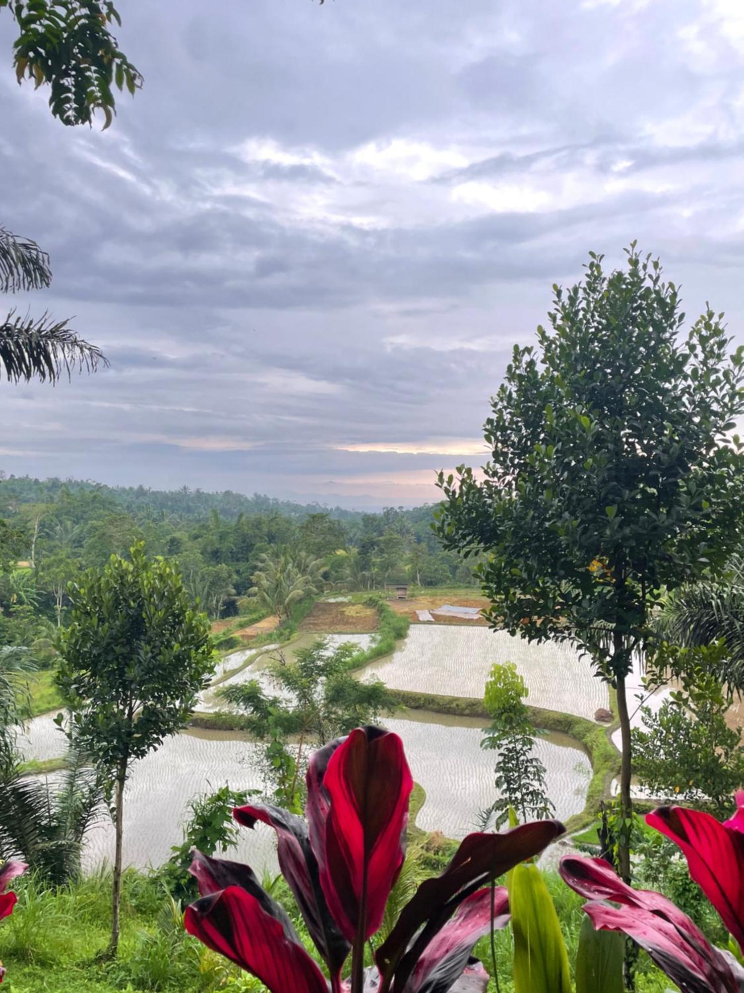 Serenity Lodge Tetebatu Lombok المظهر الخارجي الصورة