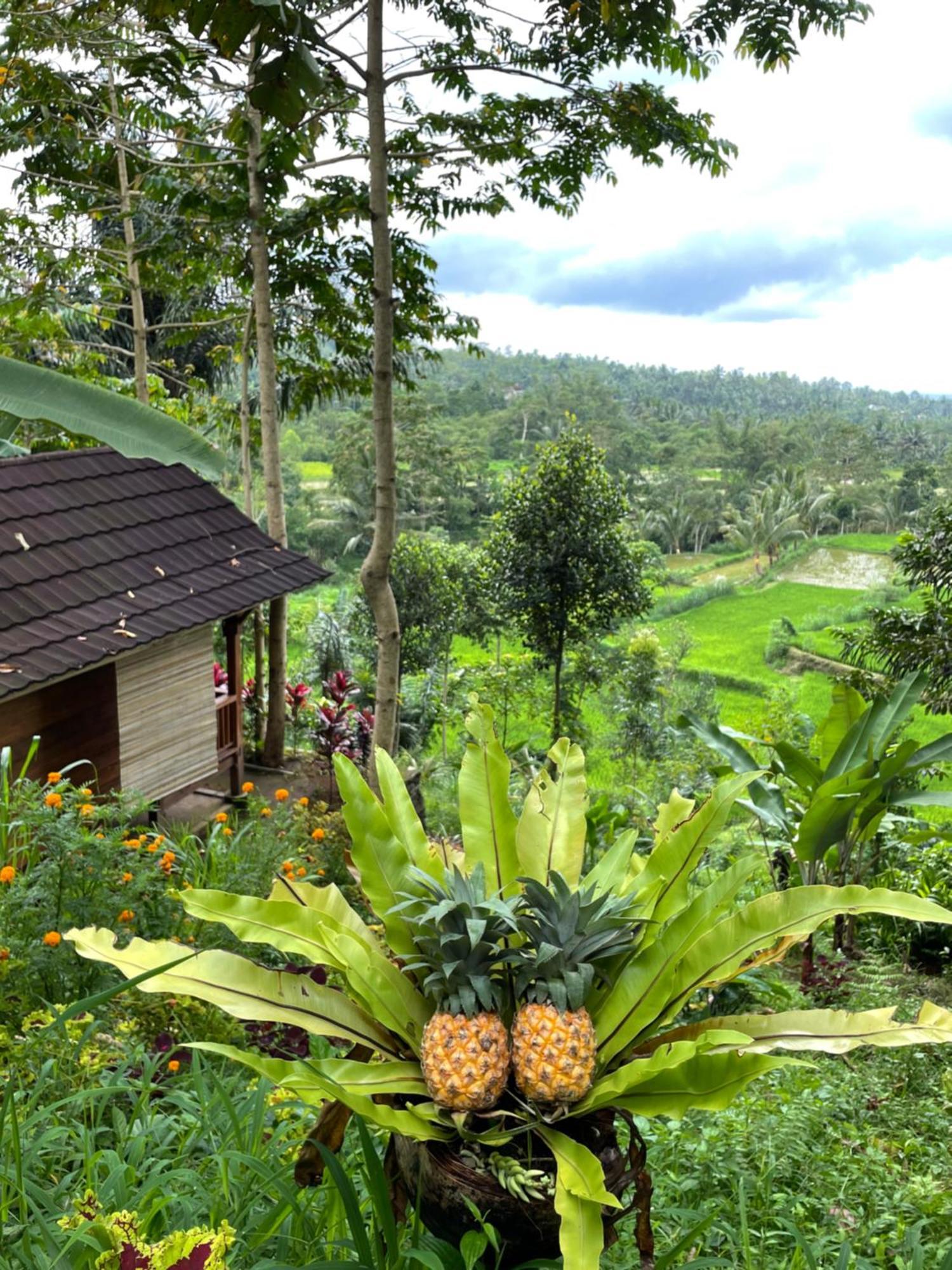 Serenity Lodge Tetebatu Lombok المظهر الخارجي الصورة